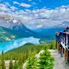 Peyto Lake groepsreis Canada